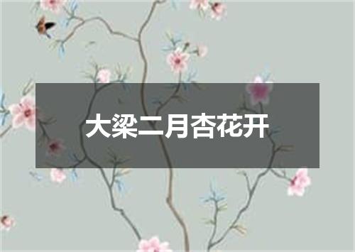 大梁二月杏花开