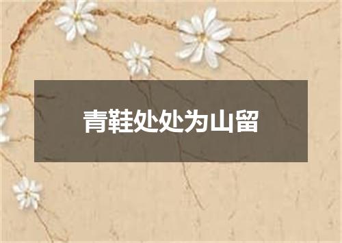 青鞋处处为山留