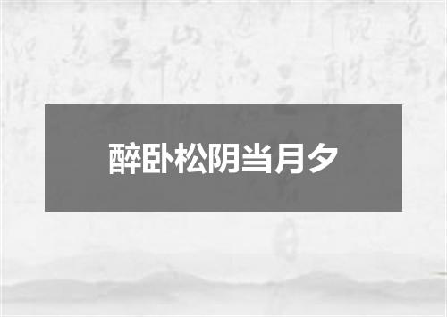 醉卧松阴当月夕