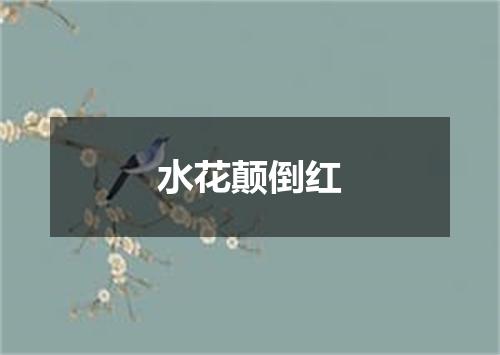 水花颠倒红