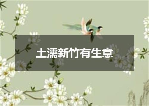 土濡新竹有生意