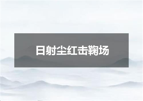 日射尘红击鞠场