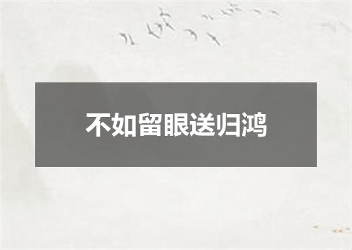 不如留眼送归鸿
