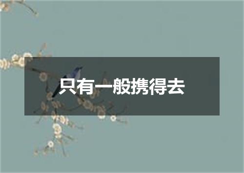 只有一般携得去