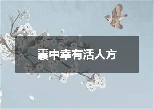 囊中幸有活人方