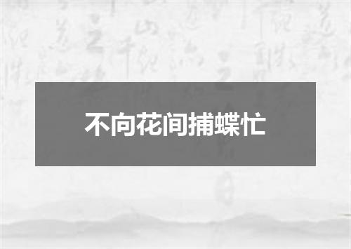 不向花间捕蝶忙