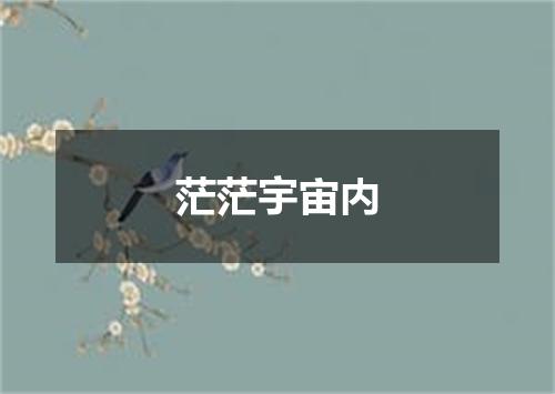 茫茫宇宙内