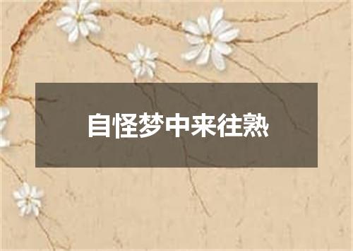 自怪梦中来往熟