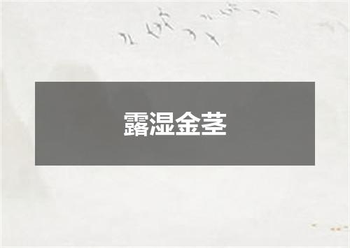 露湿金茎