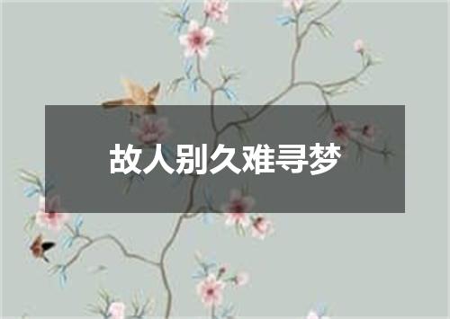 故人别久难寻梦