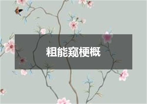 粗能窥梗概