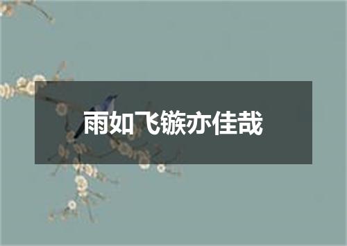 雨如飞镞亦佳哉