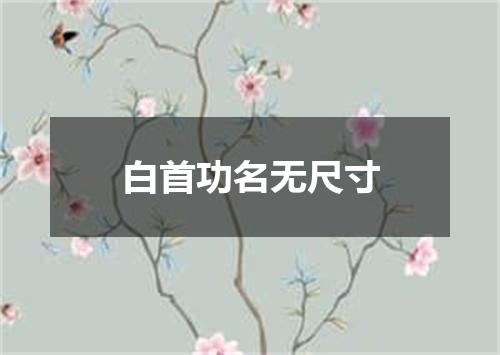 白首功名无尺寸