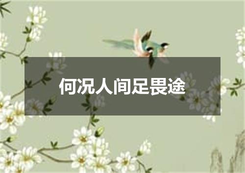 何况人间足畏途