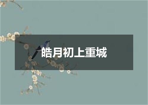 皓月初上重城