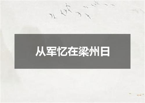 从军忆在梁州日
