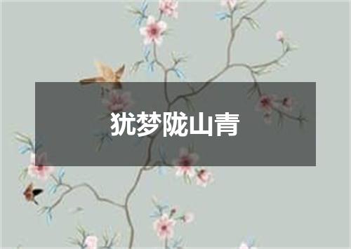 犹梦陇山青