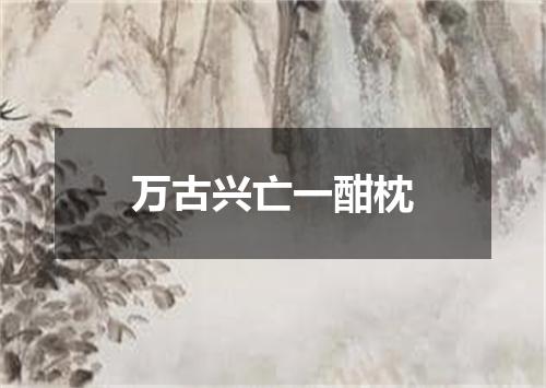 万古兴亡一酣枕