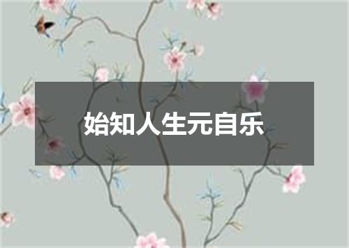 始知人生元自乐