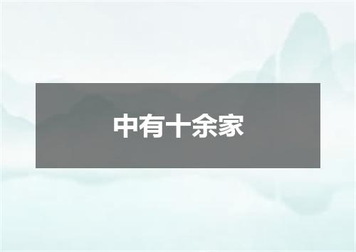 中有十余家