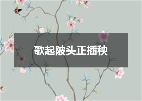 歌起陂头正插秧