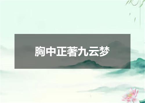 胸中正著九云梦