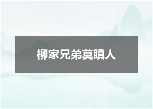 柳家兄弟莫瞋人