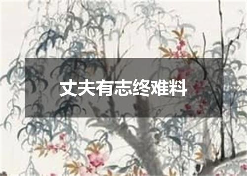 丈夫有志终难料