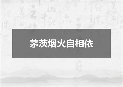 茅茨烟火自相依