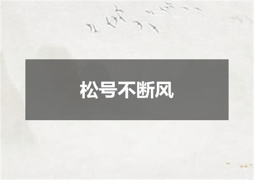 松号不断风