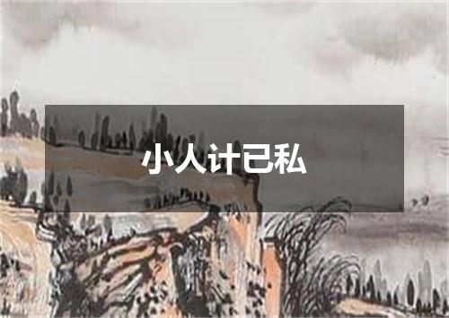 小人计已私