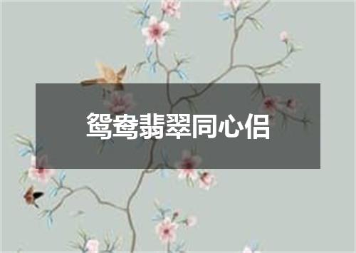 鸳鸯翡翠同心侣