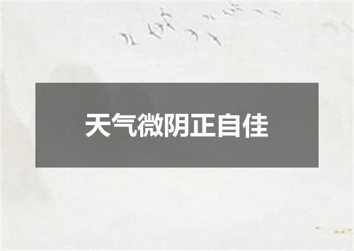 天气微阴正自佳
