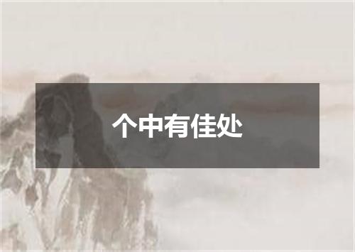 个中有佳处