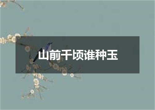 山前千顷谁种玉