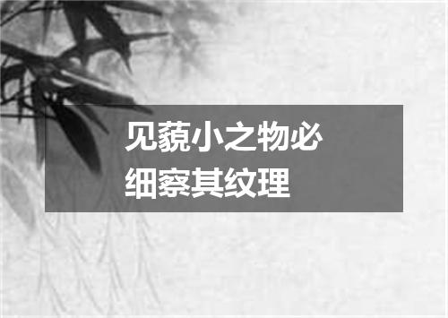 见藐小之物必细察其纹理
