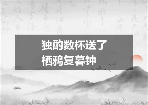 独酌数杯送了栖鸦复暮钟