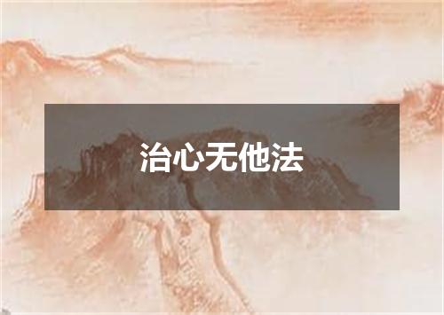 治心无他法