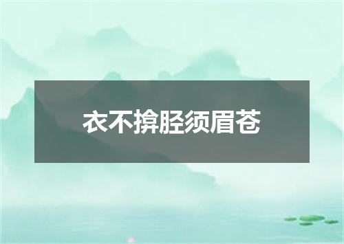 衣不揜胫须眉苍