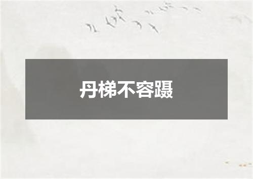 丹梯不容蹑