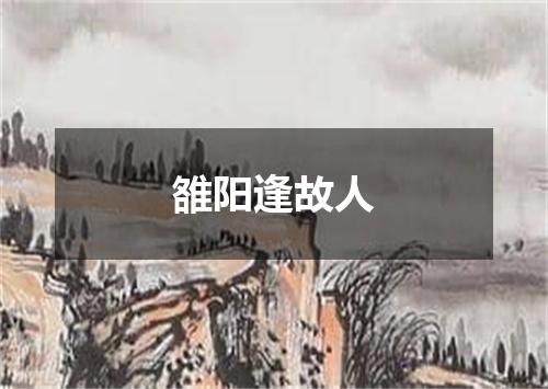 雒阳逢故人