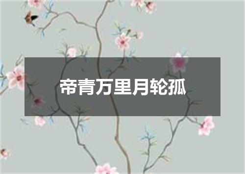 帝青万里月轮孤