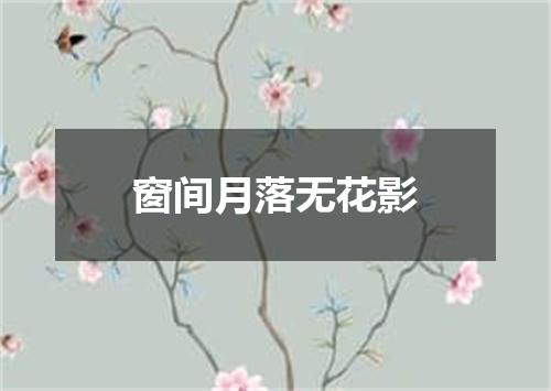窗间月落无花影