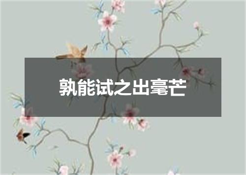 孰能试之出毫芒