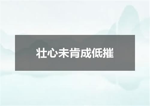 壮心未肯成低摧
