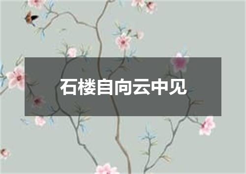 石楼自向云中见