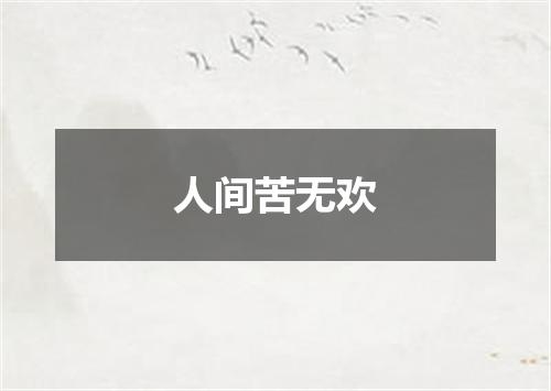 人间苦无欢