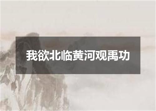 我欲北临黄河观禹功
