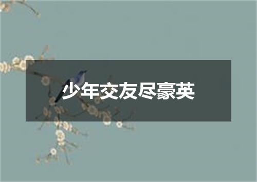 少年交友尽豪英