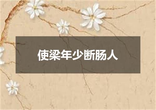 使梁年少断肠人